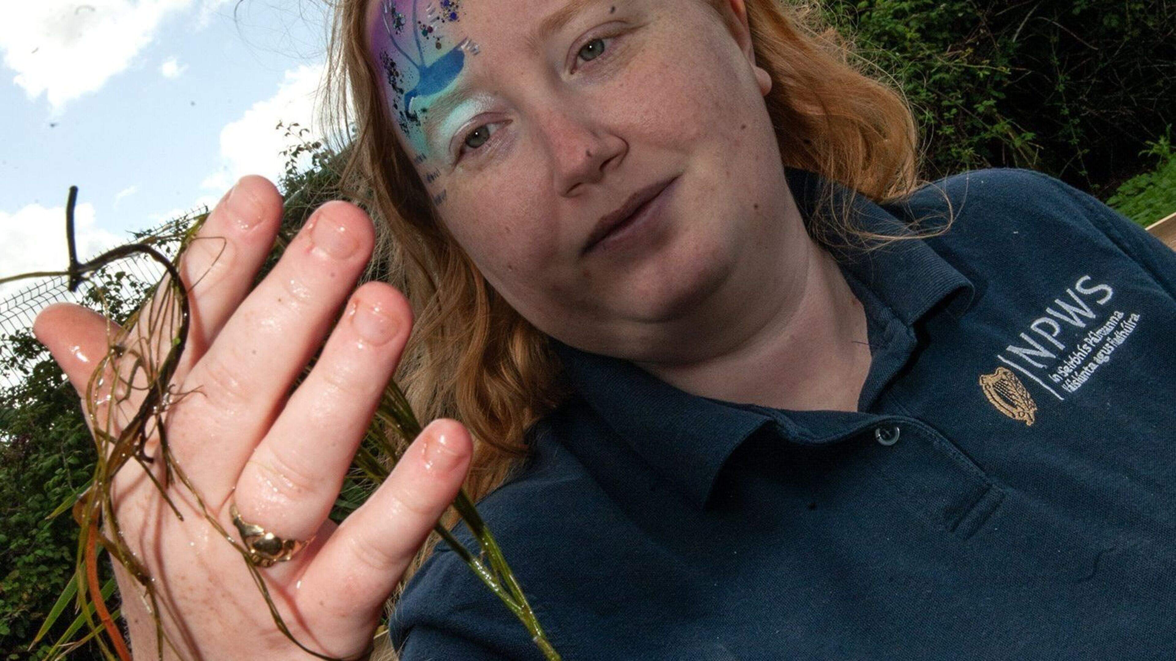 Third annual Nature Festival to bring family-friendly wildlife celebration to Wexford